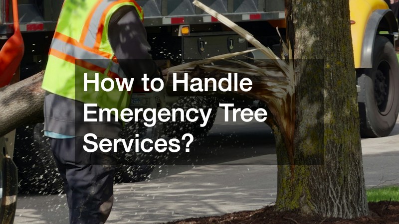 How to Handle Emergency Tree Services?