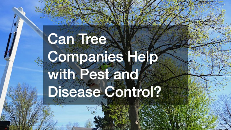 Can Tree Companies Help with Pest and Disease Control?