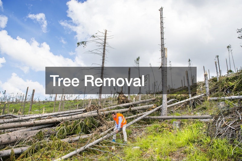 Tree Removal