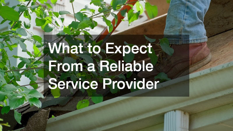 What to Expect From a Reliable Service Provider