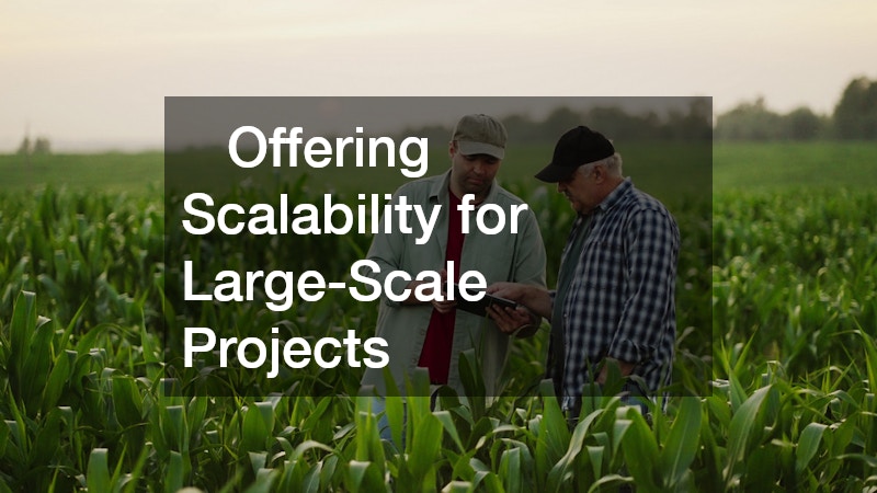  Offering Scalability for Large-Scale Projects