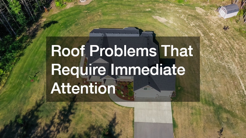 Roof Problems That Require Immediate Attention