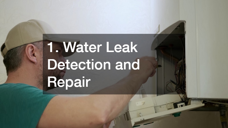 1. Water Leak Detection and Repair