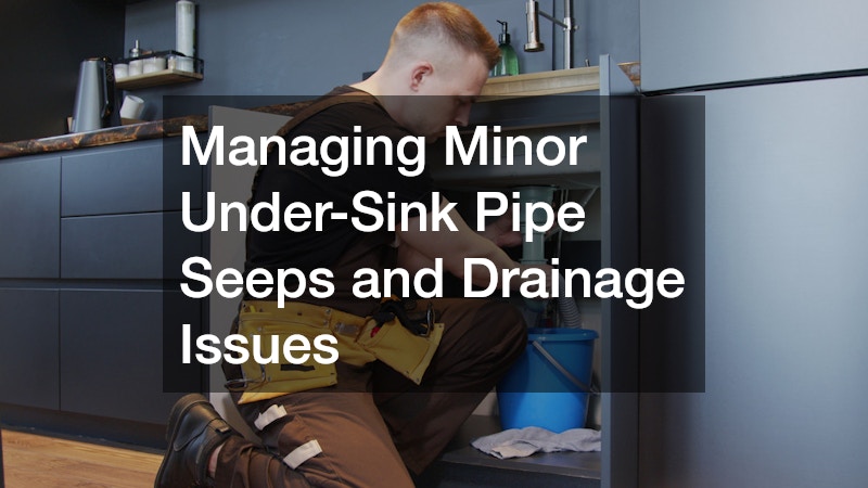 Managing Minor Under-Sink Pipe Seeps and Drainage Issues