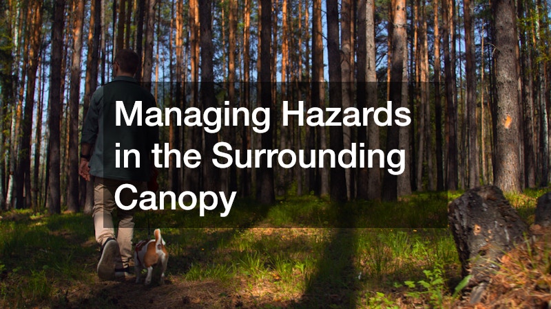 Managing Hazards in the Surrounding Canopy