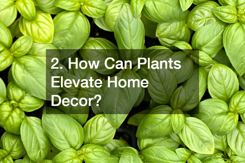 2. How Can Plants Elevate Home Decor?