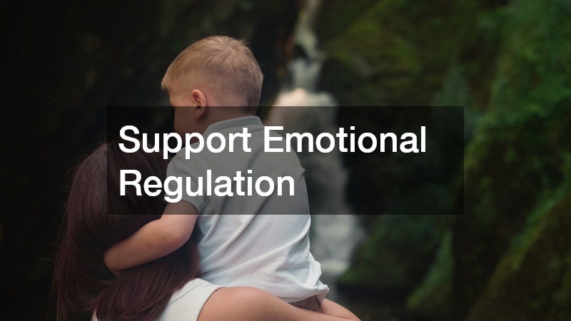 Support Emotional Regulation