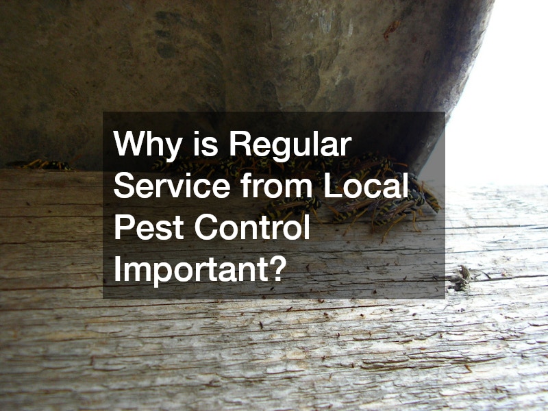 Why is Regular Service from Local Pest Control Important?