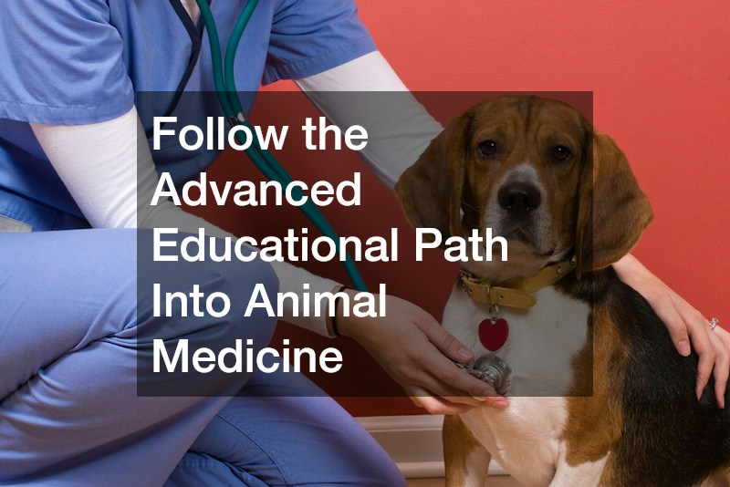 Follow the Advanced Educational Path Into Animal Medicine