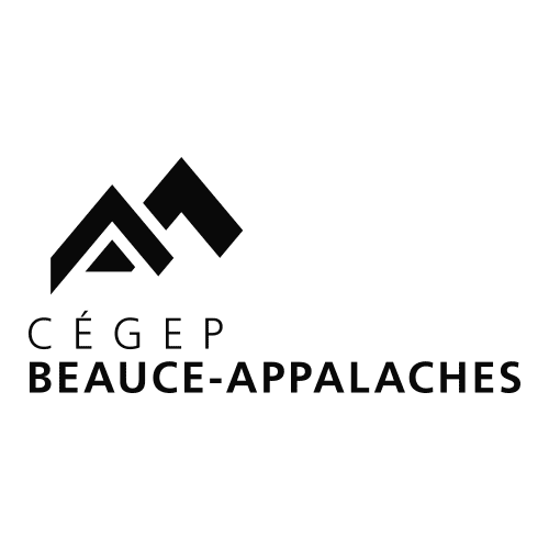 SALON CARRIÈRE FORMATION DE QUÉBEC 2020 Hopin