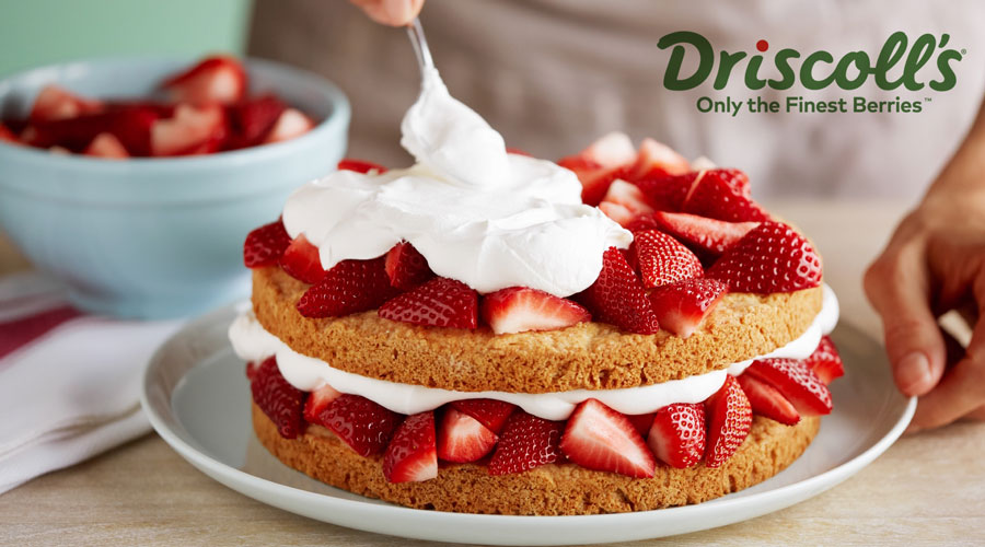 Driscoll's Test Your Knowledge Strawberry Shortcake