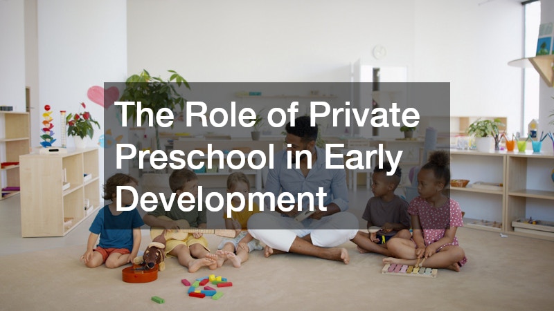 The Role of Private Preschool in Early Development