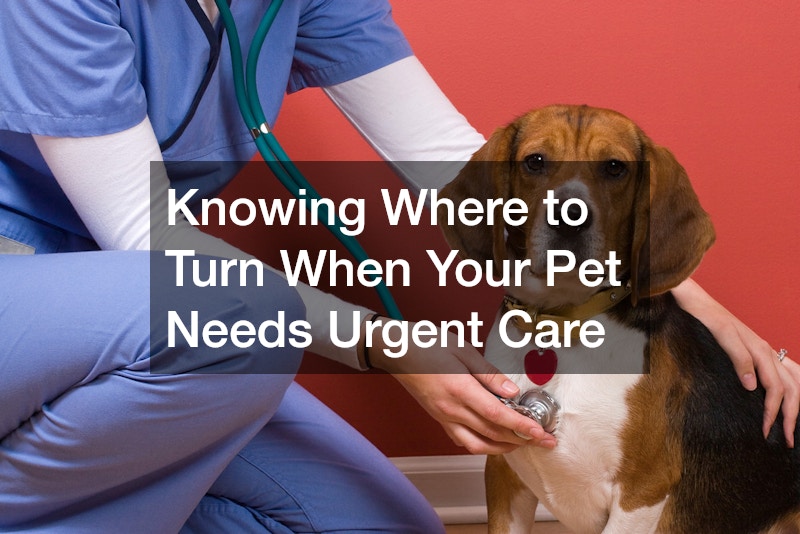 Knowing Where to Turn When Your Pet Needs Urgent Care