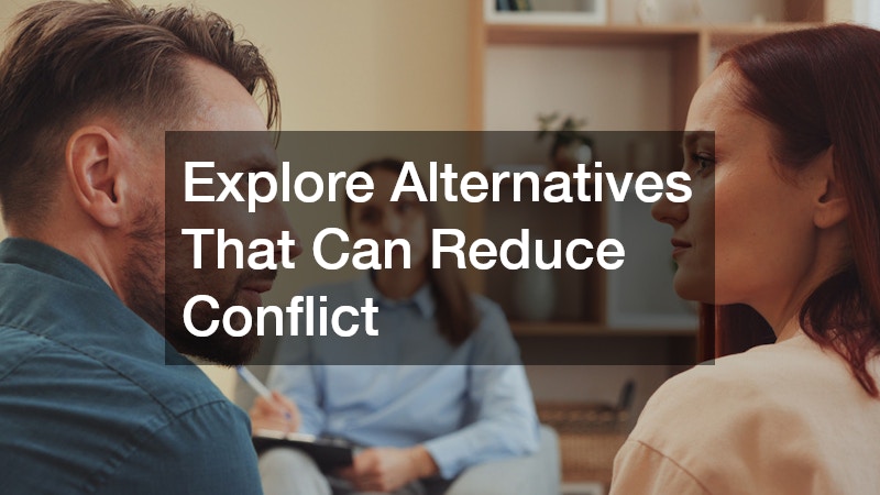Explore Alternatives That Can Reduce Conflict