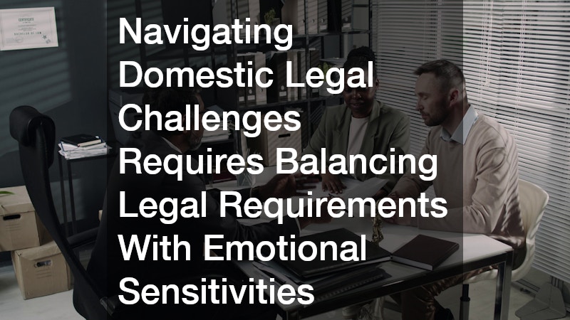 Navigating Domestic Legal Challenges Requires Balancing Legal Requirements With Emotional Sensitivities