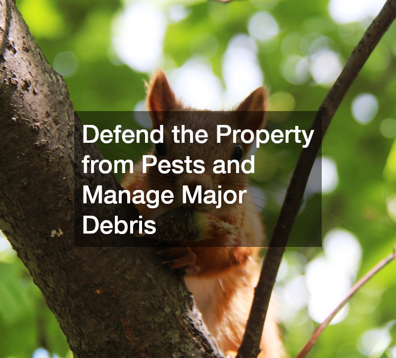 Defend the Property from Pests and Manage Major Debris