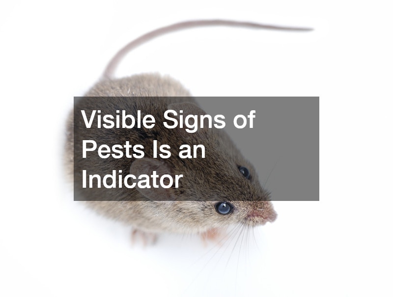 Visible Signs of Pests Is an Indicator 