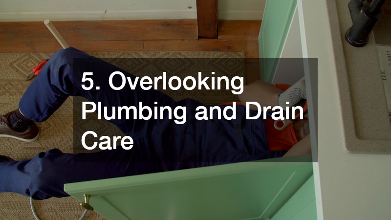 5. Overlooking Plumbing and Drain Care