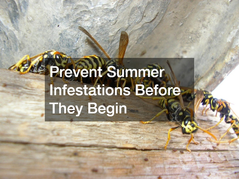 Prevent Summer Infestations Before They Begin