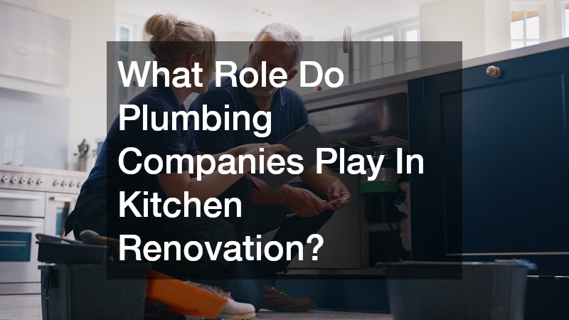 What Role Do Plumbing Companies Play In Kitchen Renovation?