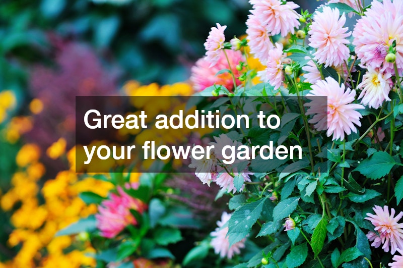 Great addition to your flower garden