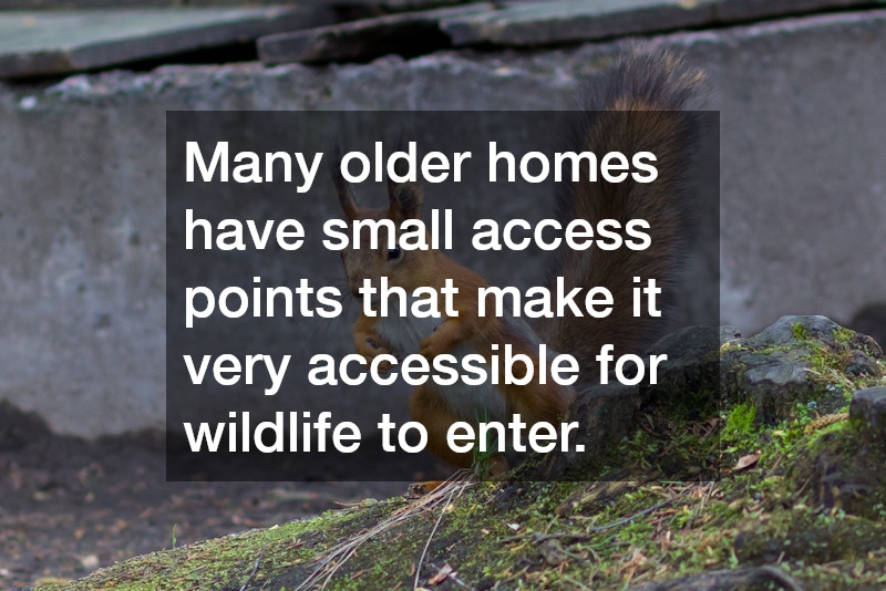 Many older homes have small access points that make it very accessible for wildlife to enter.