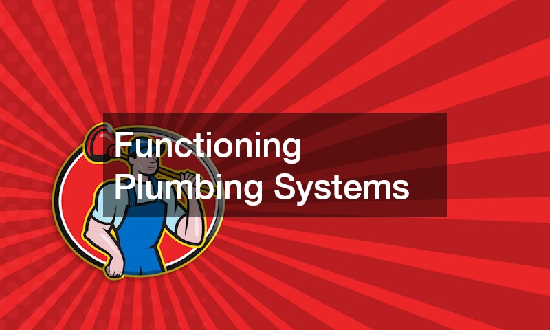 Functioning Plumbing Systems