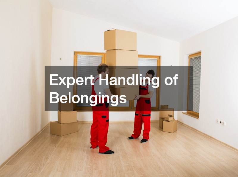 Expert Handling of Belongings