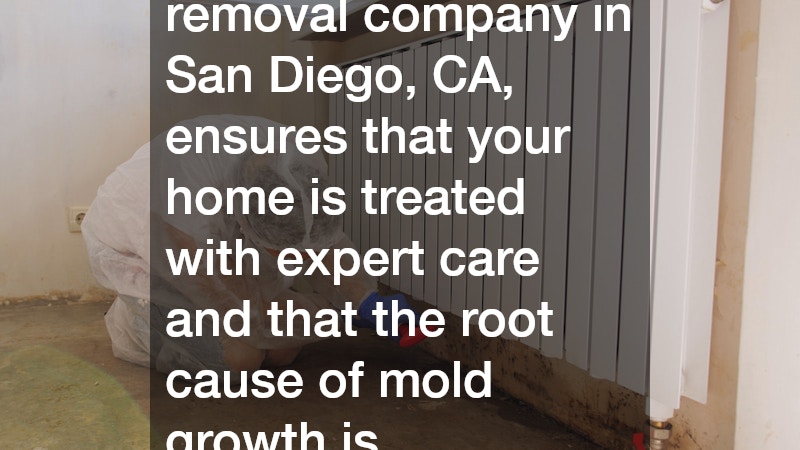 Working with a reputable mold removal company in San Diego, CA, ensures that your home is treated with expert care and that the root cause of mold growth is thoroughly addressed.