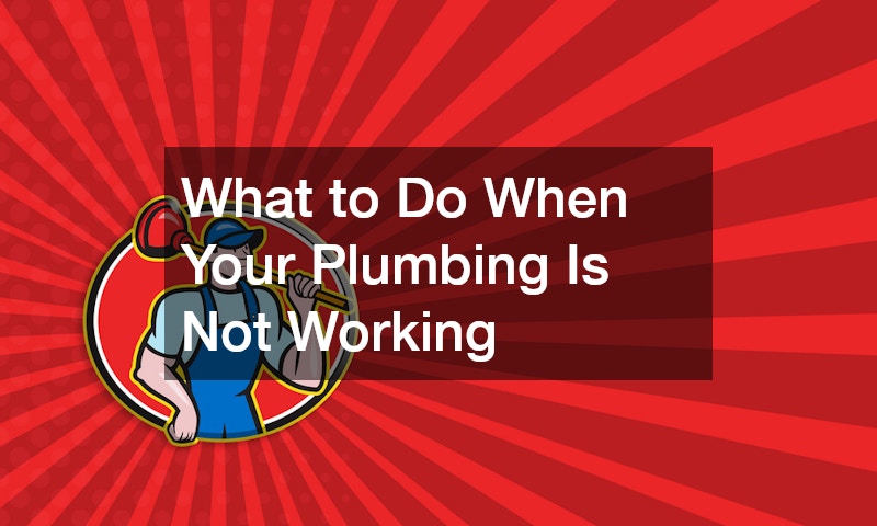 What to Do When Your Plumbing Is Not Working
