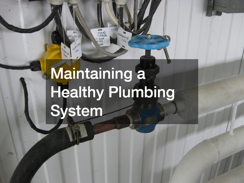 Maintaining a Healthy Plumbing System