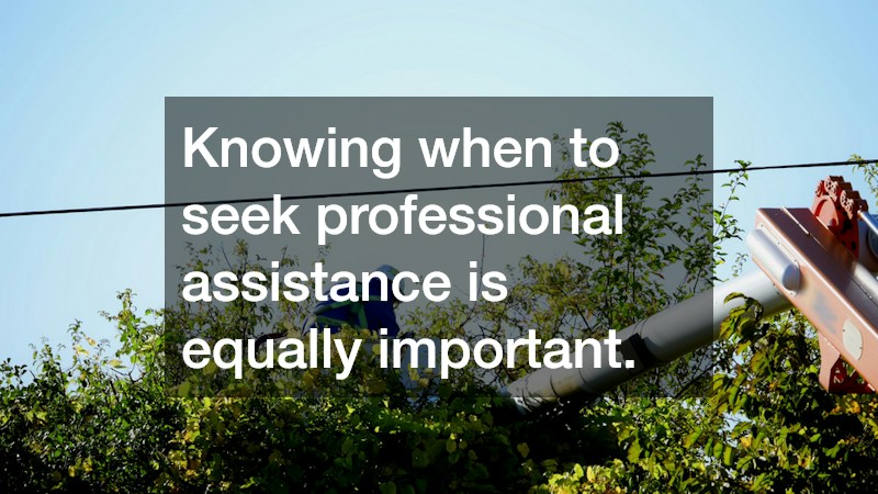 Knowing when to seek professional assistance is equally important. 
