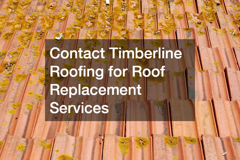 Contact Timberline Roofing for Roof Replacement Services