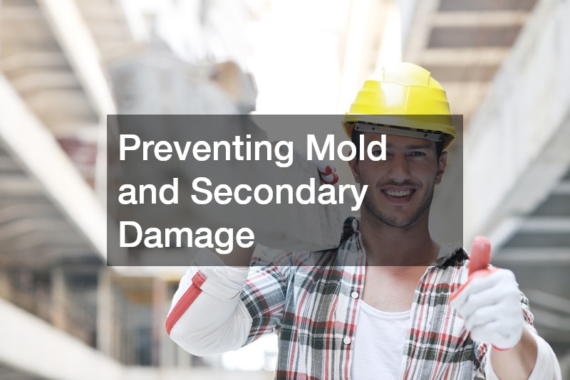 Preventing Mold and Secondary Damage