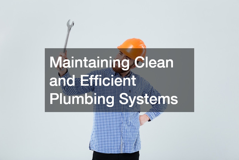 Maintaining Clean and Efficient Plumbing Systems