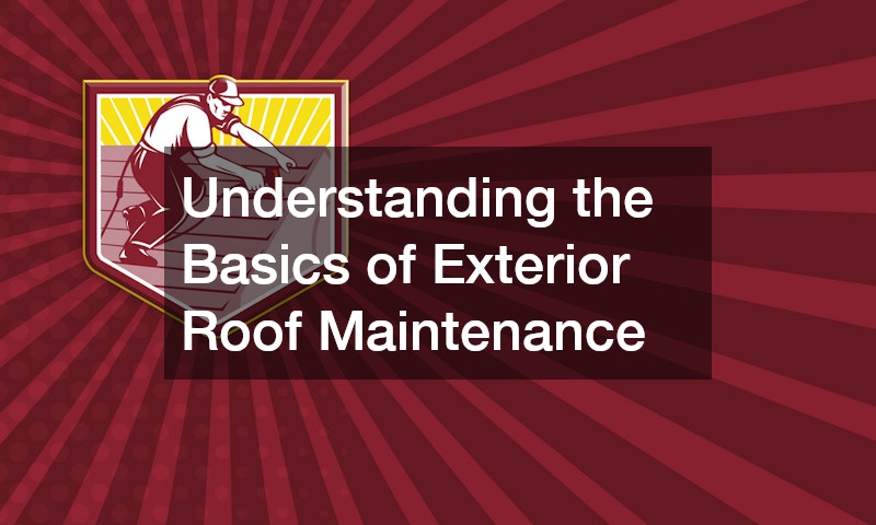 Understanding the Basics of Exterior Roof Maintenance