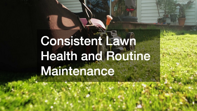 Consistent Lawn Health and Routine Maintenance