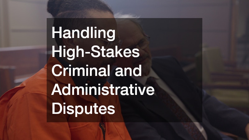Handling High-Stakes Criminal and Administrative Disputes
