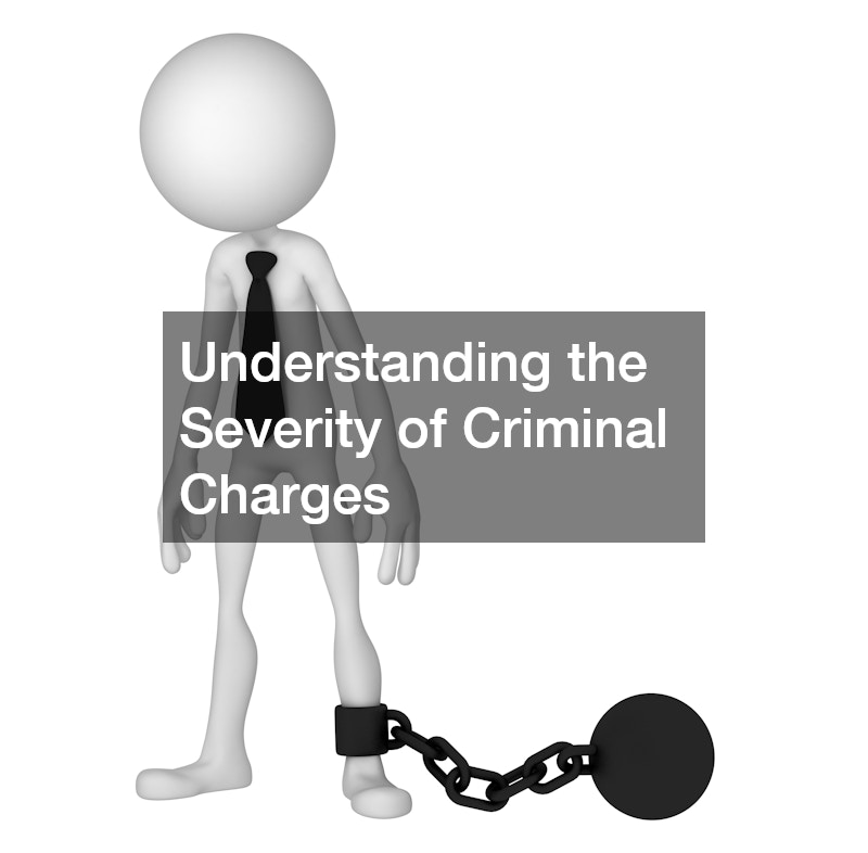 Understanding the Severity of Criminal Charges