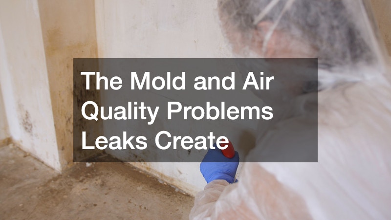 The Mold and Air Quality Problems Leaks Create