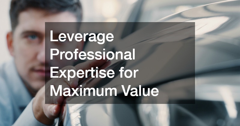 Leverage Professional Expertise for Maximum Value