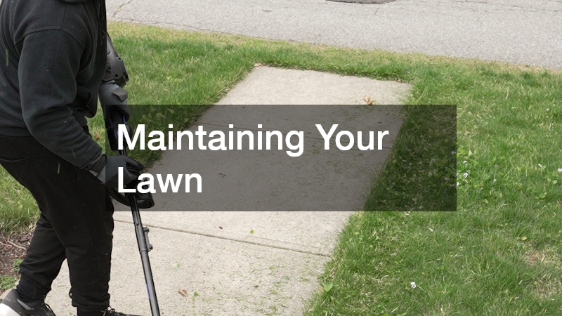 Maintaining Your Lawn