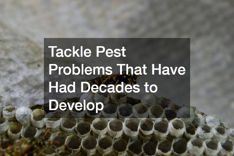 Tackle Pest Problems That Have Had Decades to Develop