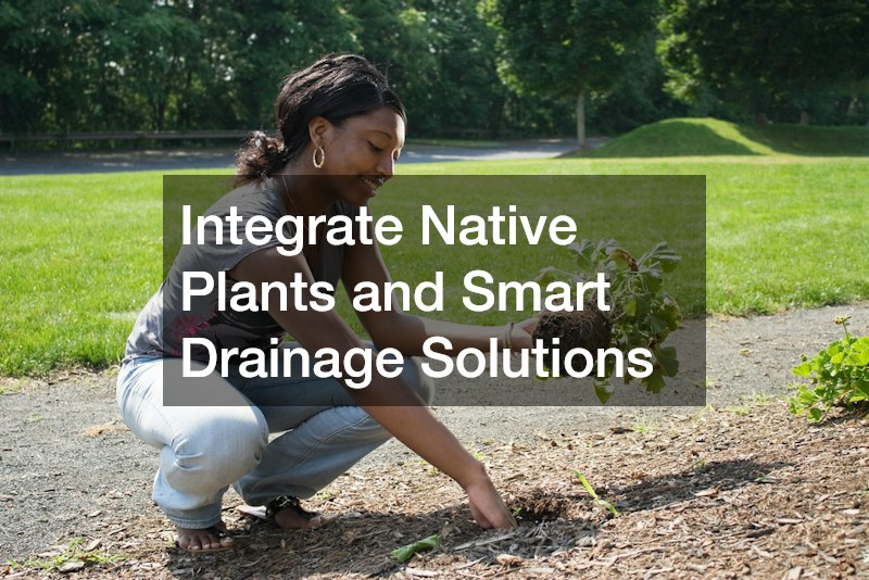 Integrate Native Plants and Smart Drainage Solutions