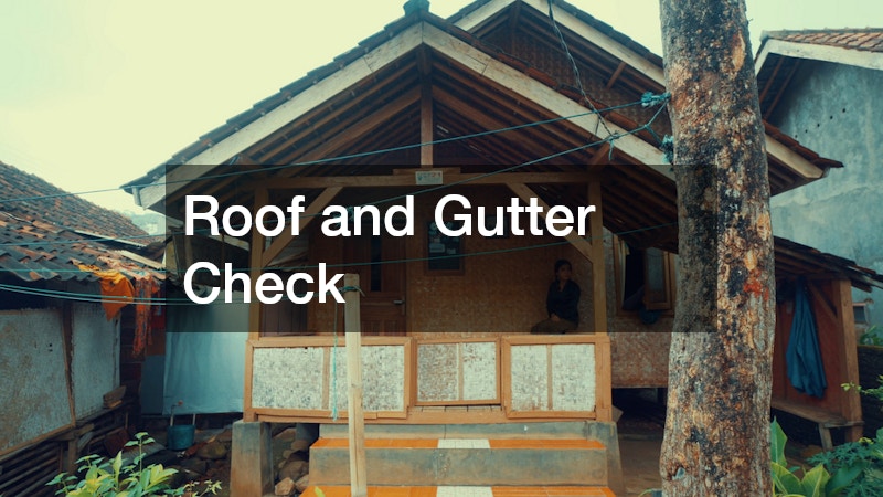 Roof and Gutter Check