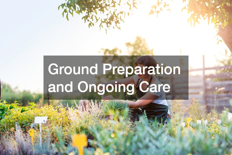 Ground Preparation and Ongoing Care