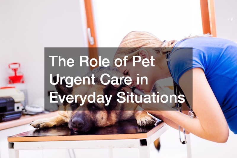 The Role of Pet Urgent Care in Everyday Situations