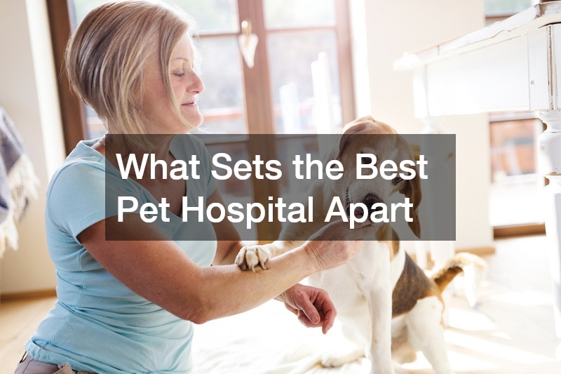 What Sets the Best Pet Hospital Apart