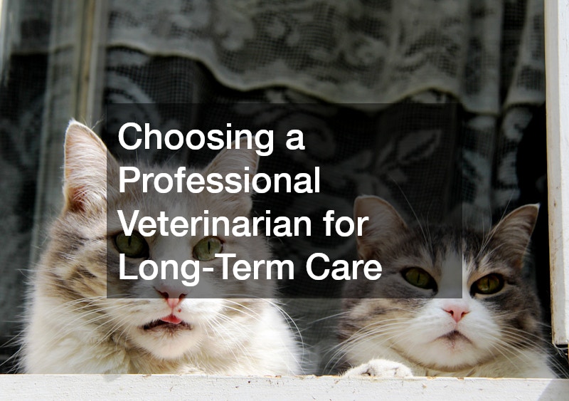 Choosing a Professional Veterinarian for Long-Term Care