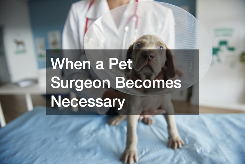 When a Pet Surgeon Becomes Necessary